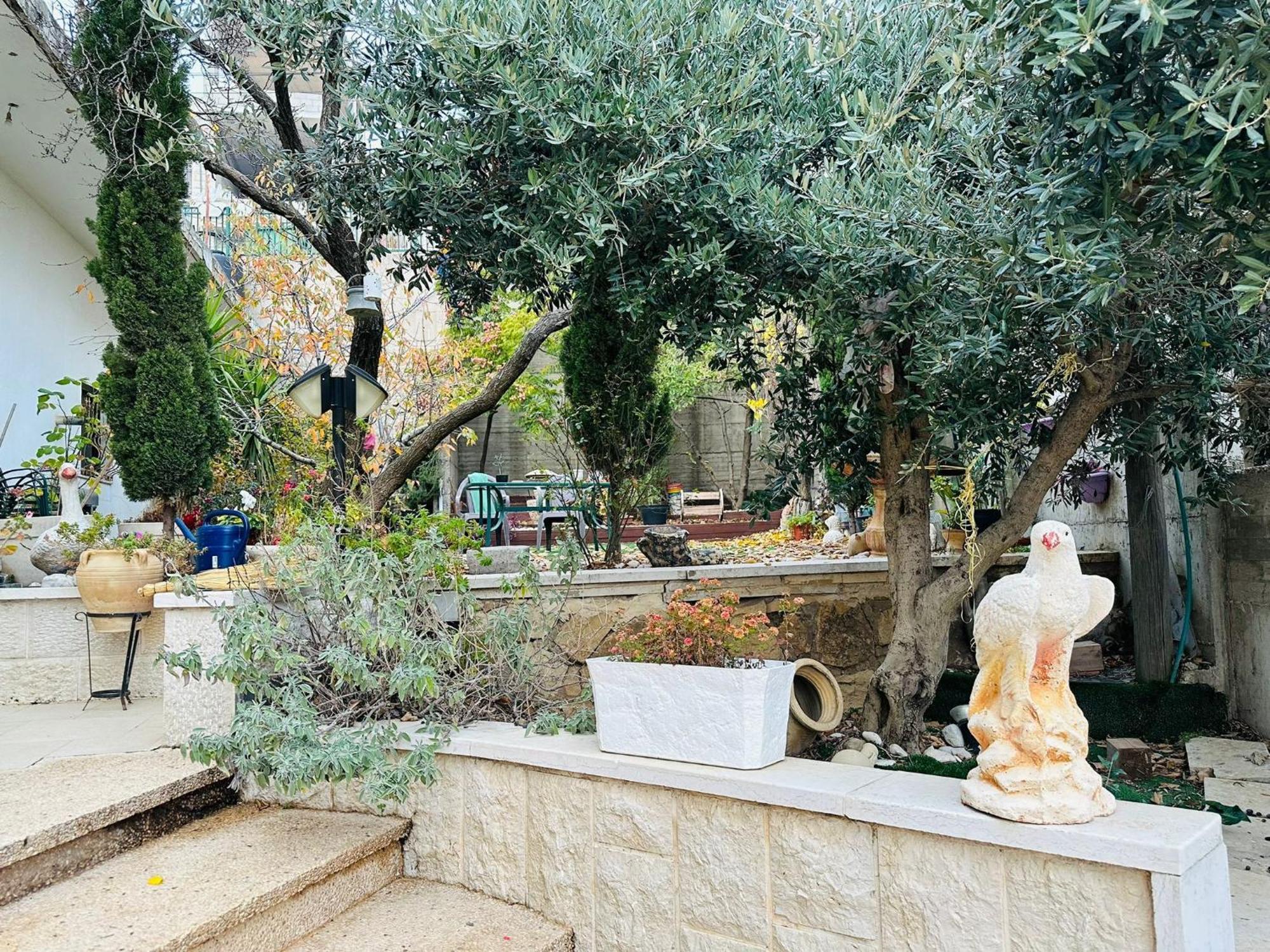 Hermon Accommodation Majdal Shams Rum bild